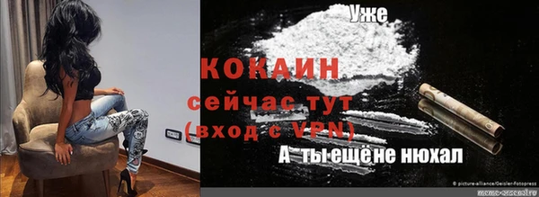 гашик Алексеевка