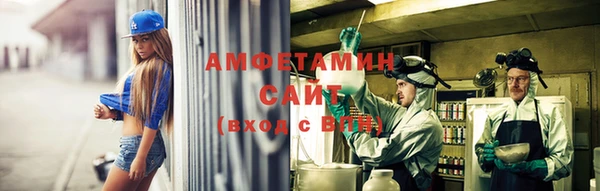 гашик Алексеевка