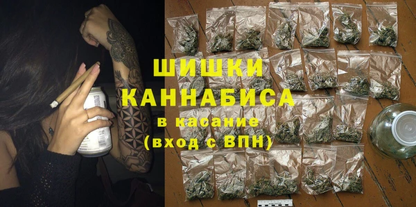 МДПВ Алексин