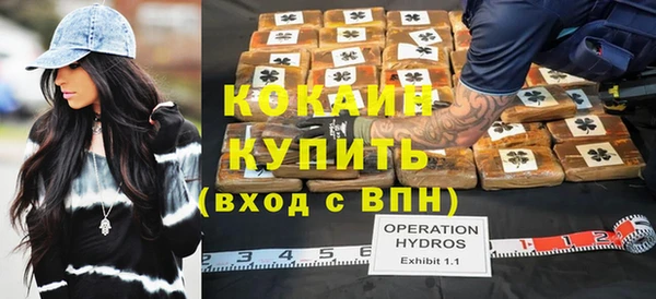 гашик Алексеевка
