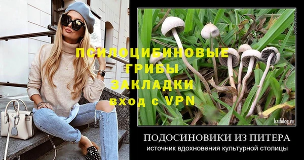 МДПВ Алексин