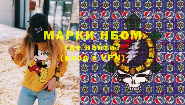 гашик Алексеевка